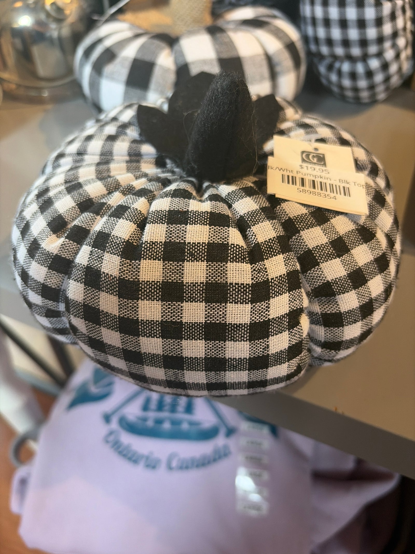 Blk/Wht Pumpkin - Blk Top