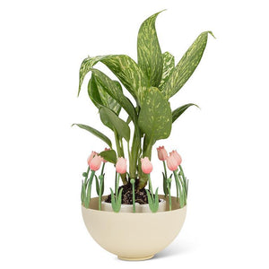 Pnk-Small Ball Holder with Tulips