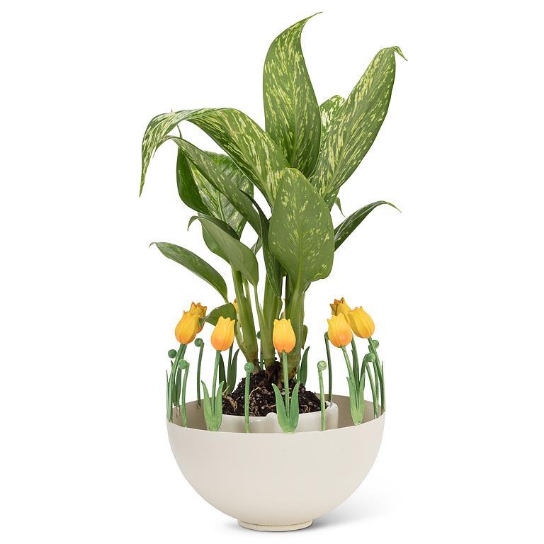 YEL-Sml Ball Holder Tulip Edge