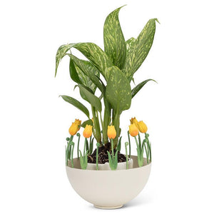 YEL-Sml Ball Holder Tulip Edge