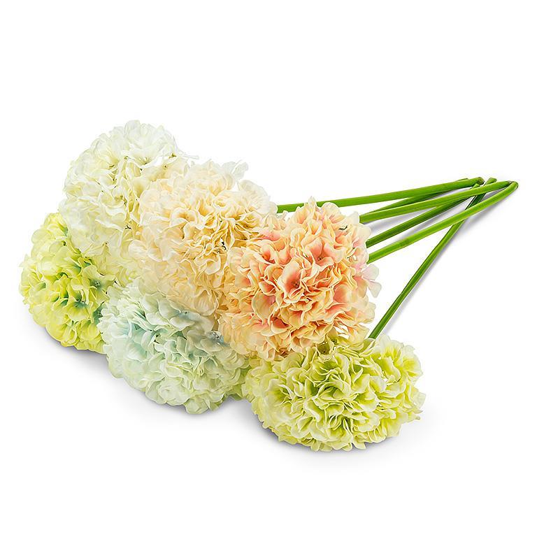 Large Hydrangea Stem