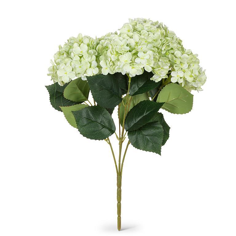 Green Hydregna Bouqet