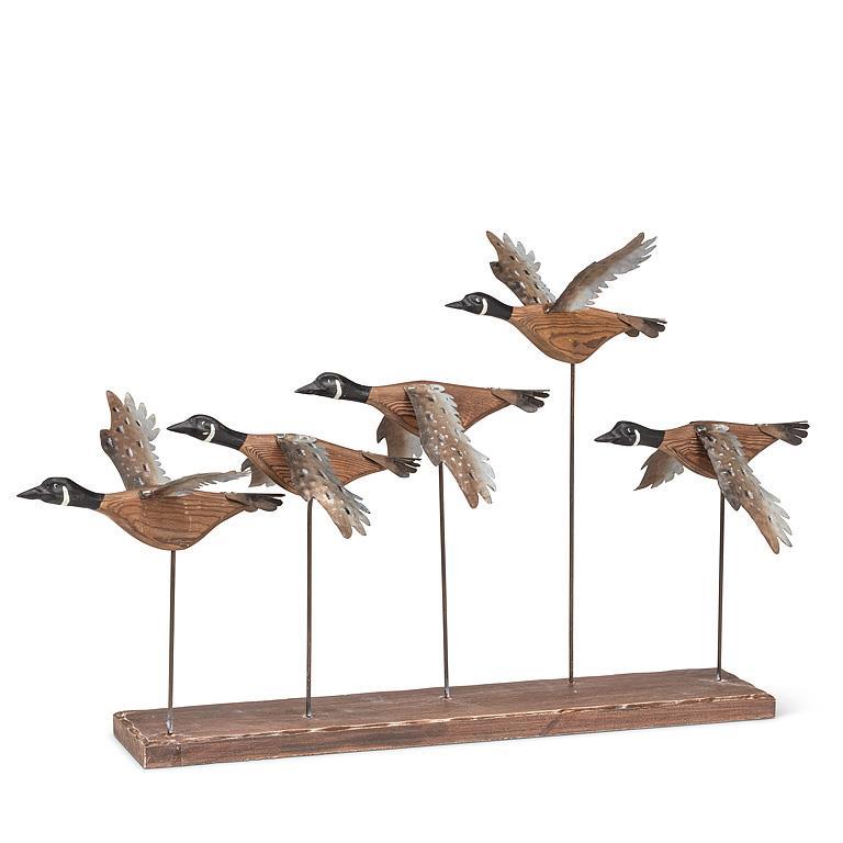 Canadian Geese in Flight Scene