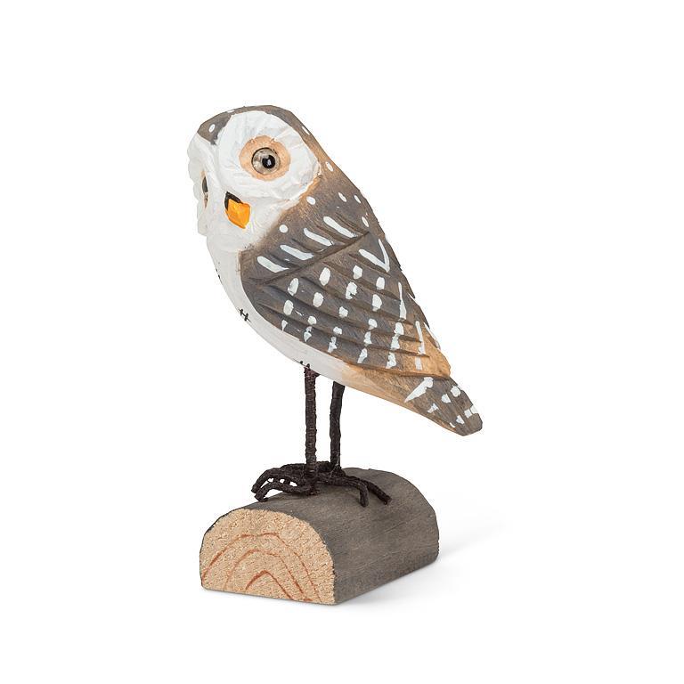Brown Owl on Log