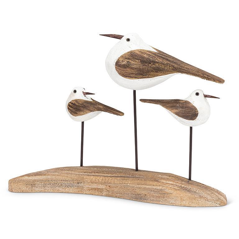 Triple Sea Birds on Log
