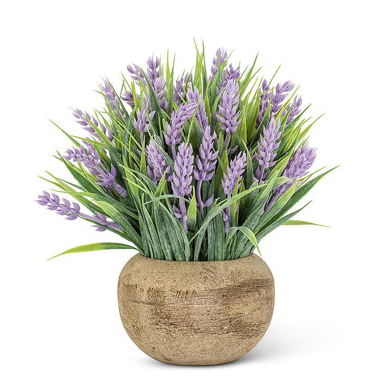 Small Lavender Plant Pot