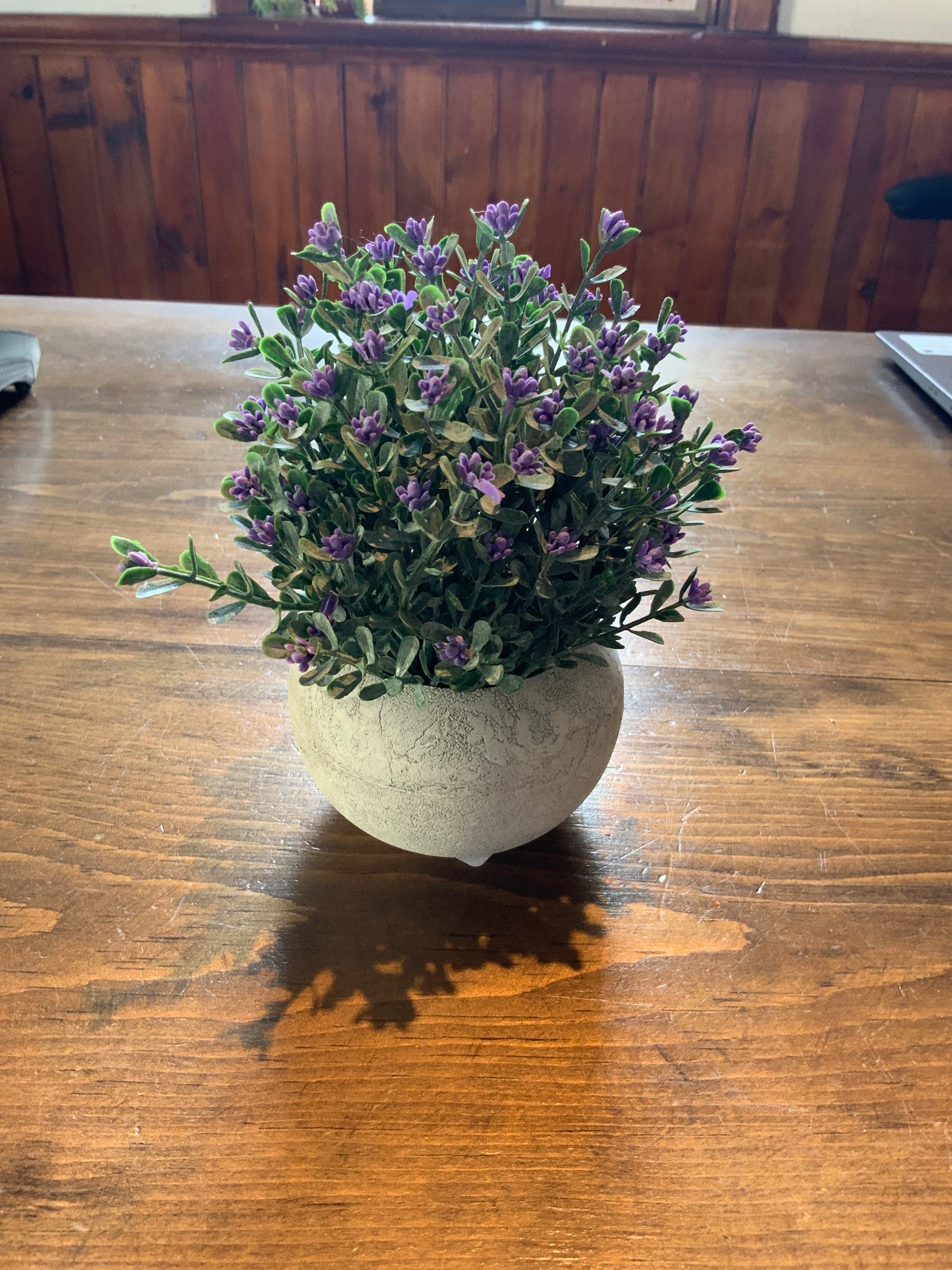 Sm Purple Flowering Pant Pot