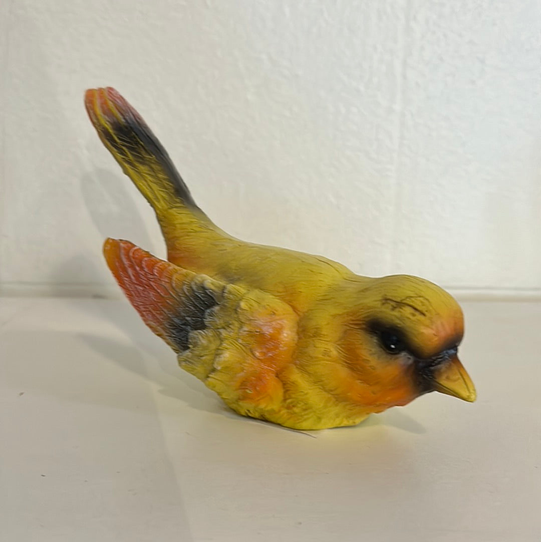 Yellow sitting bird