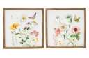 Butterfly Wall Art