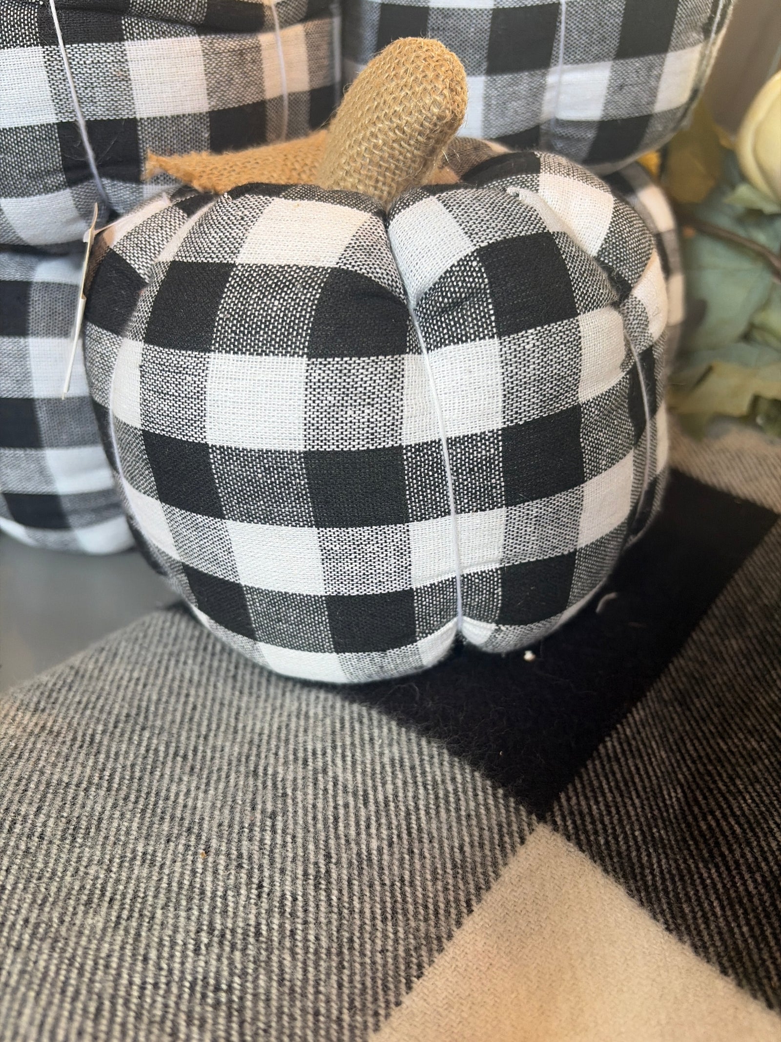 Blk/Wht Pumpkin w/ Brown Top