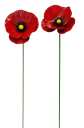 Poppy Garden Stake