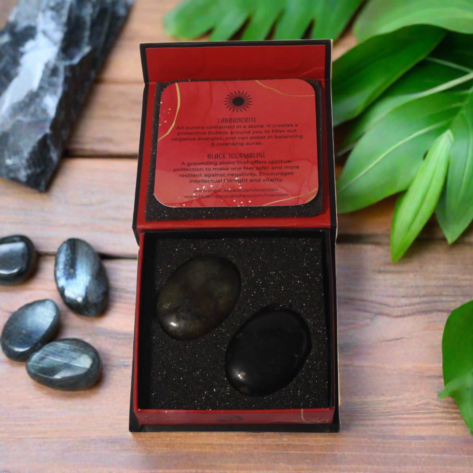 Protection Intention Kit