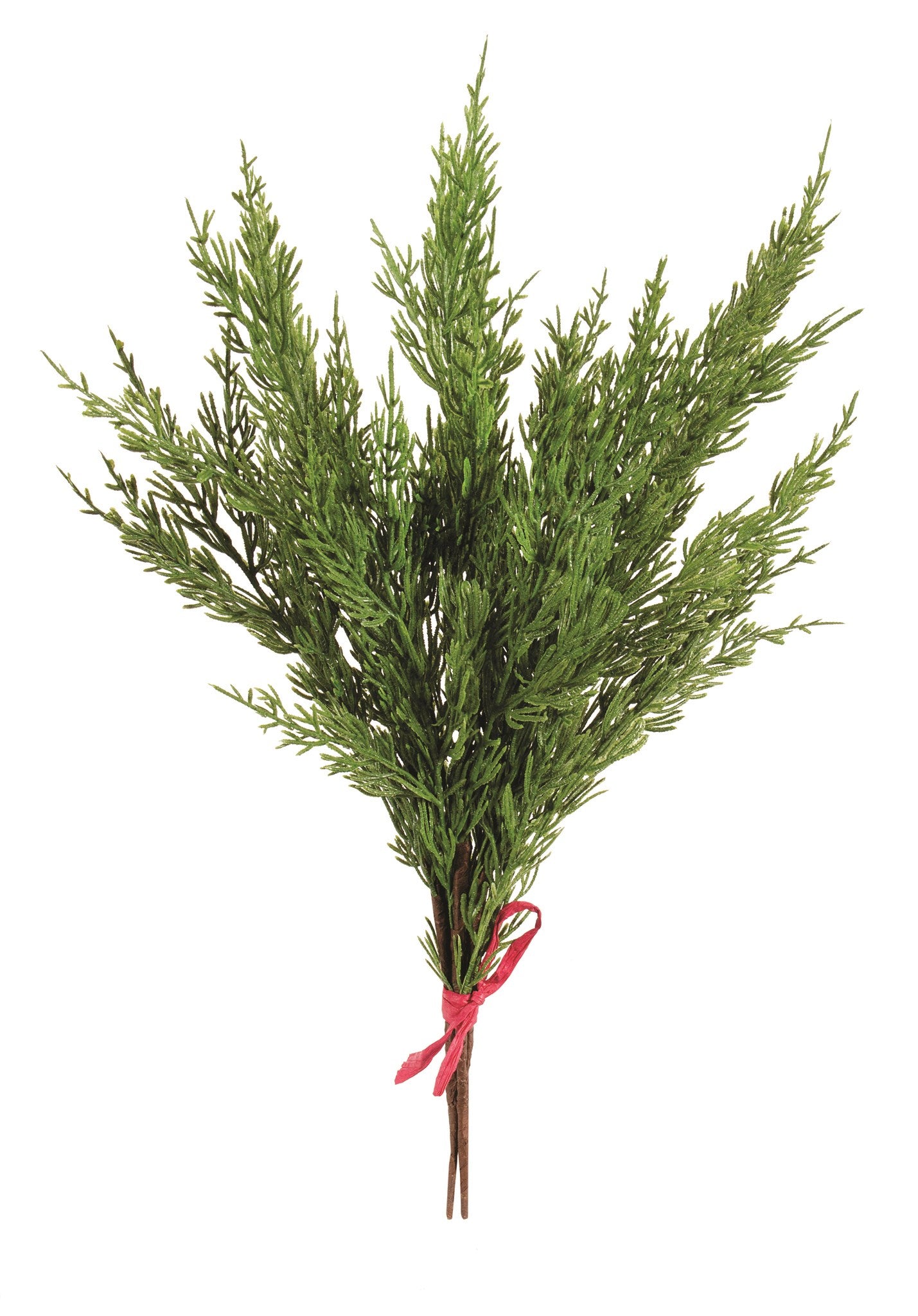 Cedar Bundal