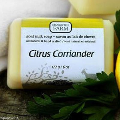 Citrus Coriander Soap