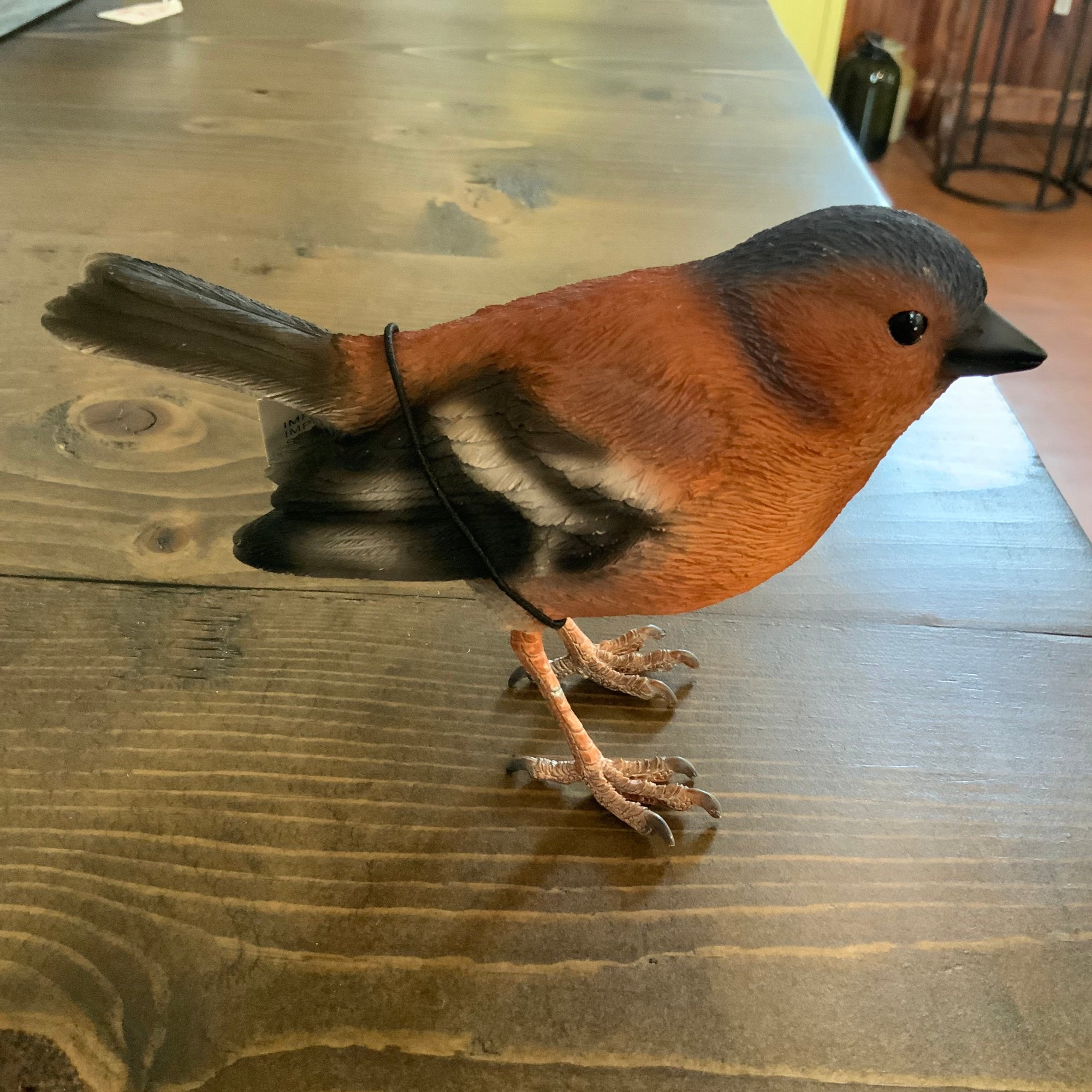 Finch Poly Bird
